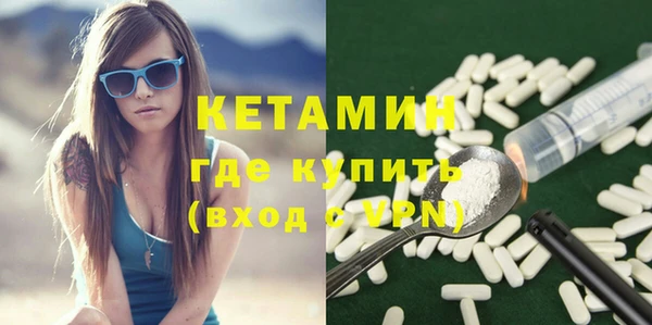 шишки Дмитровск