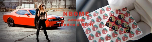 шишки Дмитровск