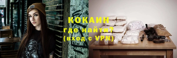 шишки Дмитровск