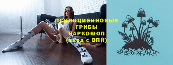 прущие крисы Дмитриев