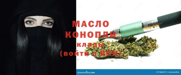 шишки Дмитровск