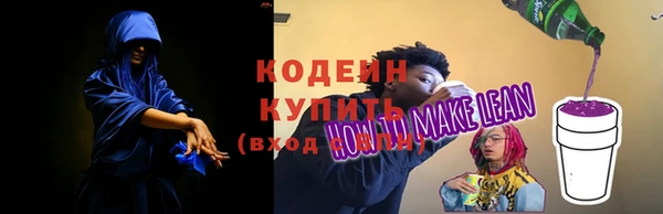 шишки Дмитровск