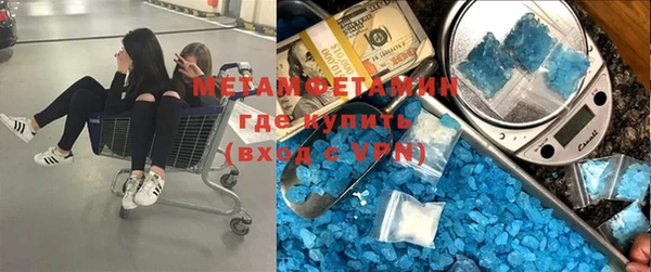 шишки Дмитровск
