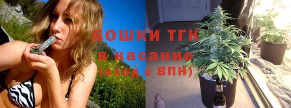 прущие крисы Дмитриев