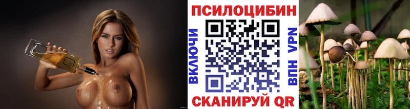 Псилоцибиновые грибы мухоморы  кракен зеркало  Рузаевка 