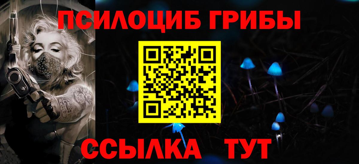 Псилоцибиновые грибы Psilocybe Рузаевка