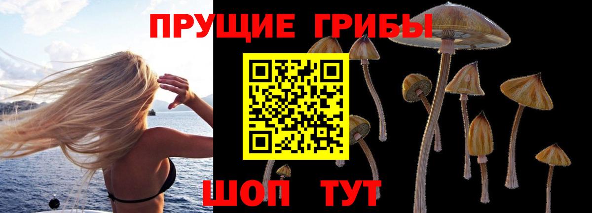Псилоцибиновые грибы Magic Shrooms Рузаевка